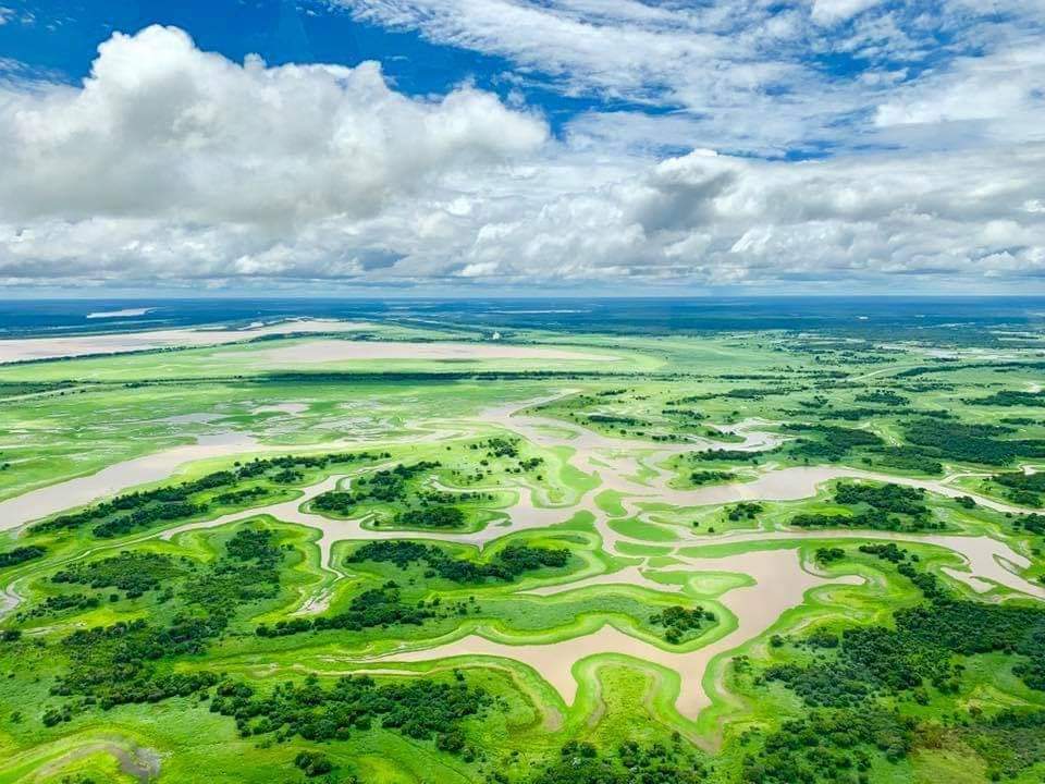 Амазоны ширэнгэ. 7сая км2 талбайг хамардаг бөгөөд дэлхийн хамгийн чийглэг өргөн навчтай ширэнгэн ой юм.Амазонд 40к зүйл ургамал бүртгэгдсэн байдаг. Ургамалууд фотосентиз явуулахдаа өөрсдийн өвөрмөц уур амьсгалыг бий болгож Амазоны өтгөн мананг үүсгэж чаддаг байна.