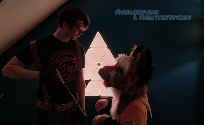 Tell me what you want, I'm here to serve 🦊 https://t.co/QcCJs38fQj<a href="/tag/furry"class="tags"><span>#furry</span></a><a href="/tag/fursuiter"class="tags"><span>#fursuiter</span></a><a href="/tag/murrsuiting"class="tags"><span>#murrsuiting</span></a><a href="/tag/murrsuits"class="tags"><span>#murrsuits</span></a>