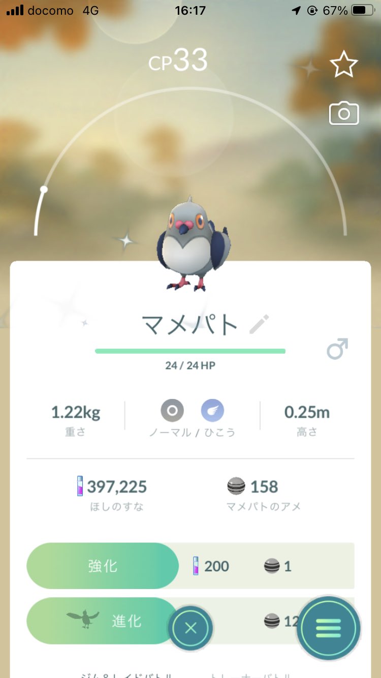まさや マメパト色違い 進化したら緑のハトーボーに 可愛すぎ T Co Ptdi5ig6rs Twitter
