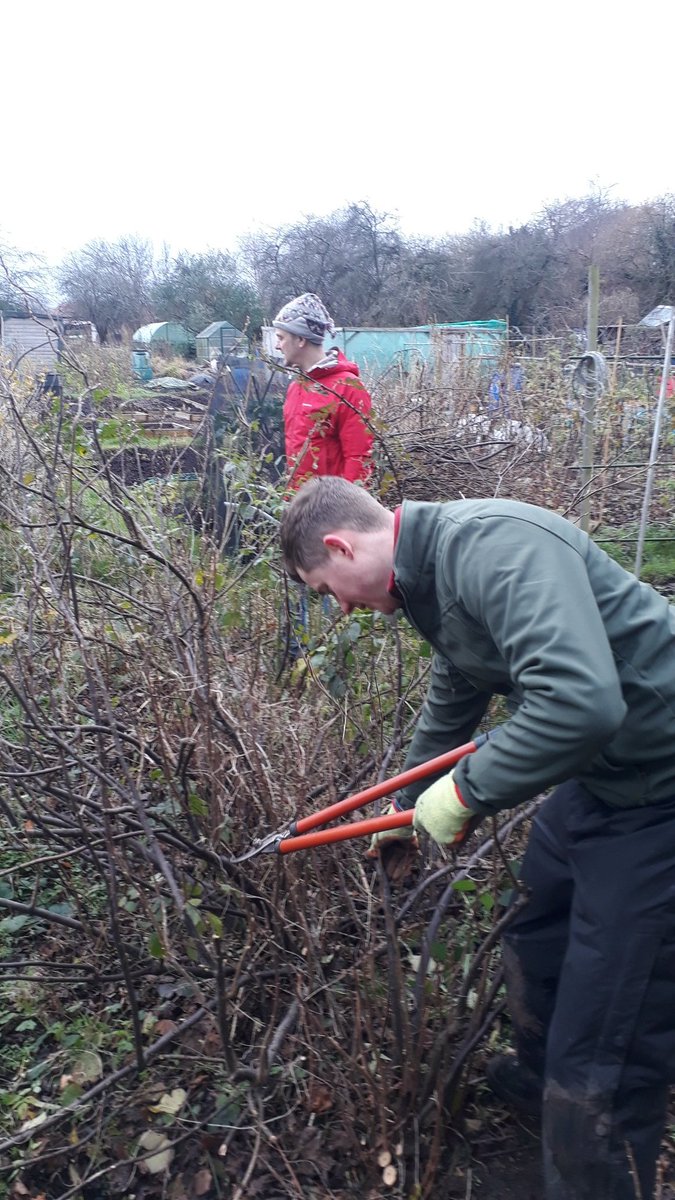 LetsGrowToBham's tweet photo. Collecting some #blackcurrant and #MagicCabbage cuttings to propagate on #ThePeoplesPlot with @IncredibleSurp and @fruitnutvillage. #MotherGardens #SellyOakNNS https://t.co/KBjSOgRrEu