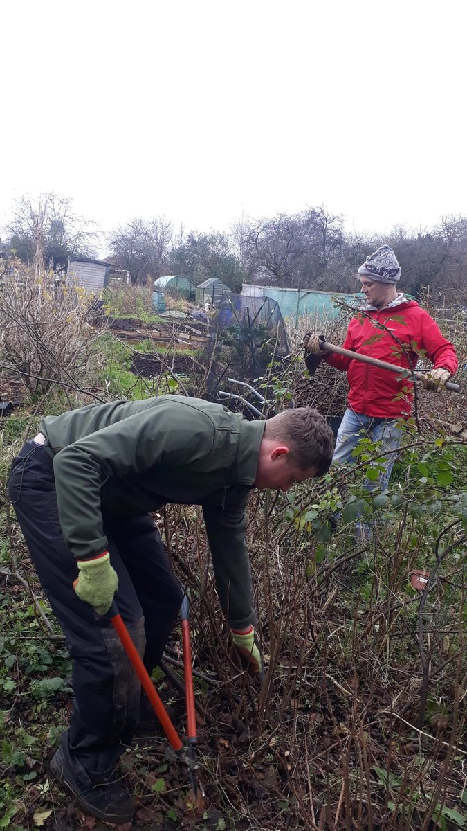 LetsGrowToBham's tweet photo. Collecting some #blackcurrant and #MagicCabbage cuttings to propagate on #ThePeoplesPlot with @IncredibleSurp and @fruitnutvillage. #MotherGardens #SellyOakNNS https://t.co/KBjSOgRrEu