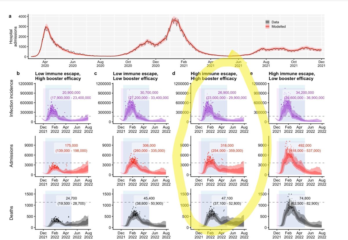 ActuaryByDay's tweet photo. Latest modelling of the Omicron wave by @cmmid_lshtm suggests the following for England:

 🦠 21 - 35 million infections

🏥 175 - 492 thousand hospitalisations

💀 25 - 75 thousand deaths https://t.co/UekX6RBYYC