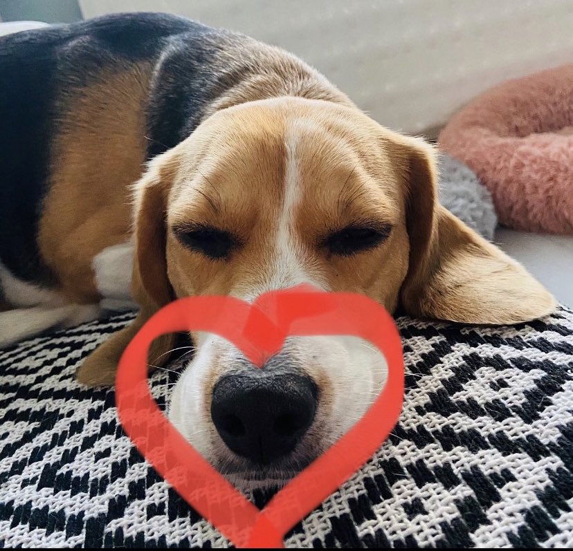 Kazz1010's tweet photo. @rachaelgriffin6 Sending love 💕 https://t.co/tVFLuKYvpe