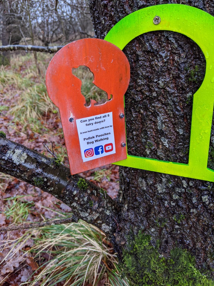 K9Scottish's tweet image. You know you have a search dog when he tells you there is a new addition to the woods he likes to walk in. 
Pollok Pooches Dog Walking #PDBodie found your fairy hunt🥰. He is going to bring back Mini Chaos as she will love this 🥰
#LovelyIdea
#FunInTheWoods