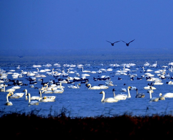 有些故事，除了回忆，谁也不会留；
有些无奈，除了沉默，谁也不会说；
 有些东西，除了自己，谁也不会懂....