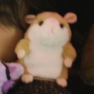 hamhammzi's tweet photo. #NewProfilePic https://t.co/sowG41Izxz