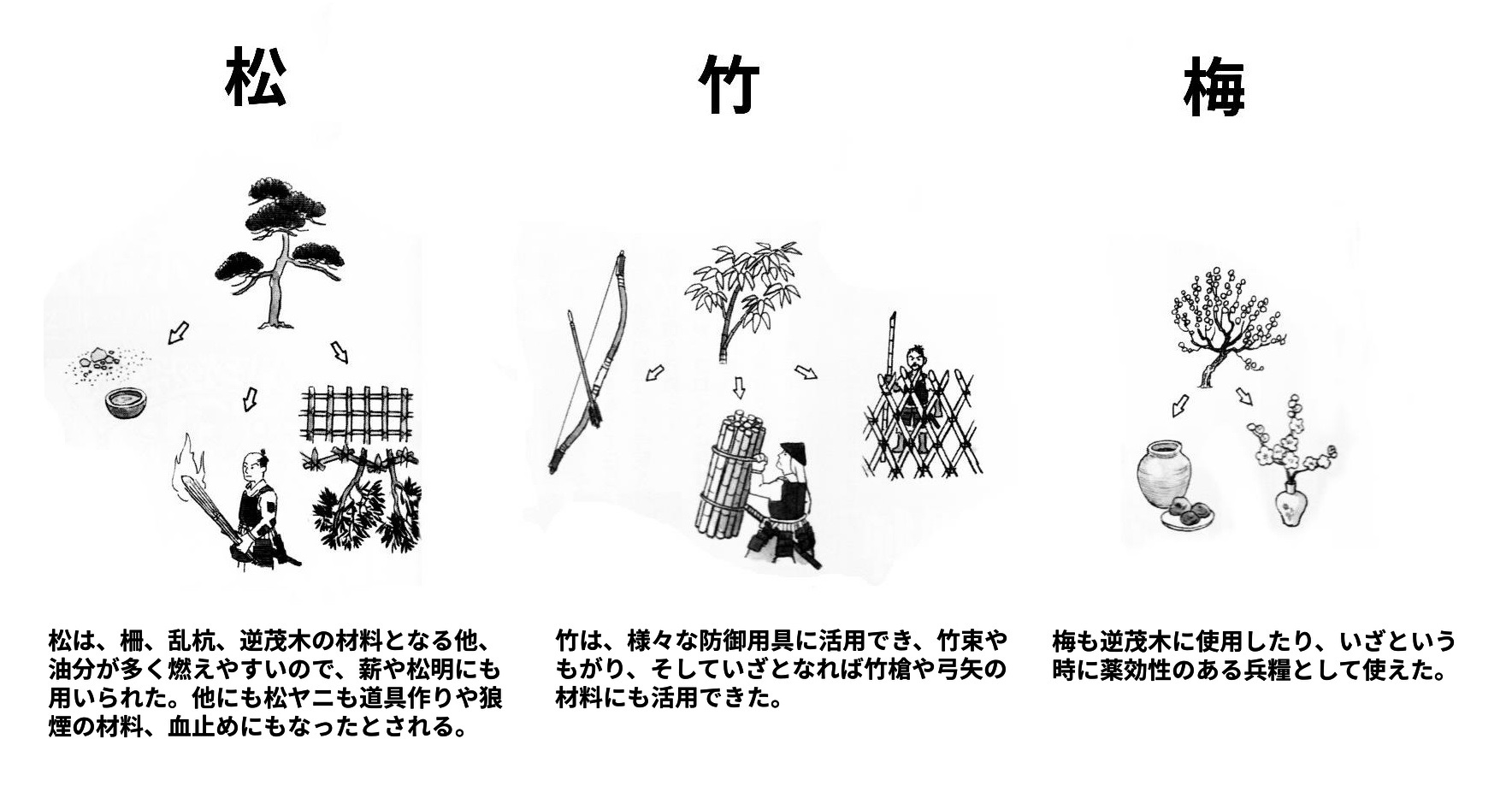 兵法つぶやきアカウント 戦国時代の城には木を植える庭がありますが これはただの観賞用ではなく 戦いに使える植物を植えるための物でした そして城内に多く植えられたのが松 竹 梅の木であり 松竹梅という言葉は戦いで役に立つ樹木からきています