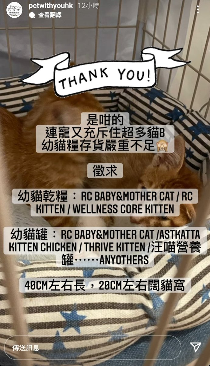 Jack27688344's tweet photo. 有冇好心人想幫幫小動物呢～？🙏🏻
詳情可以inbox 連寵拯救隊

Picture : Petwithyouhk 's IG https://t.co/tX4otc7FCg