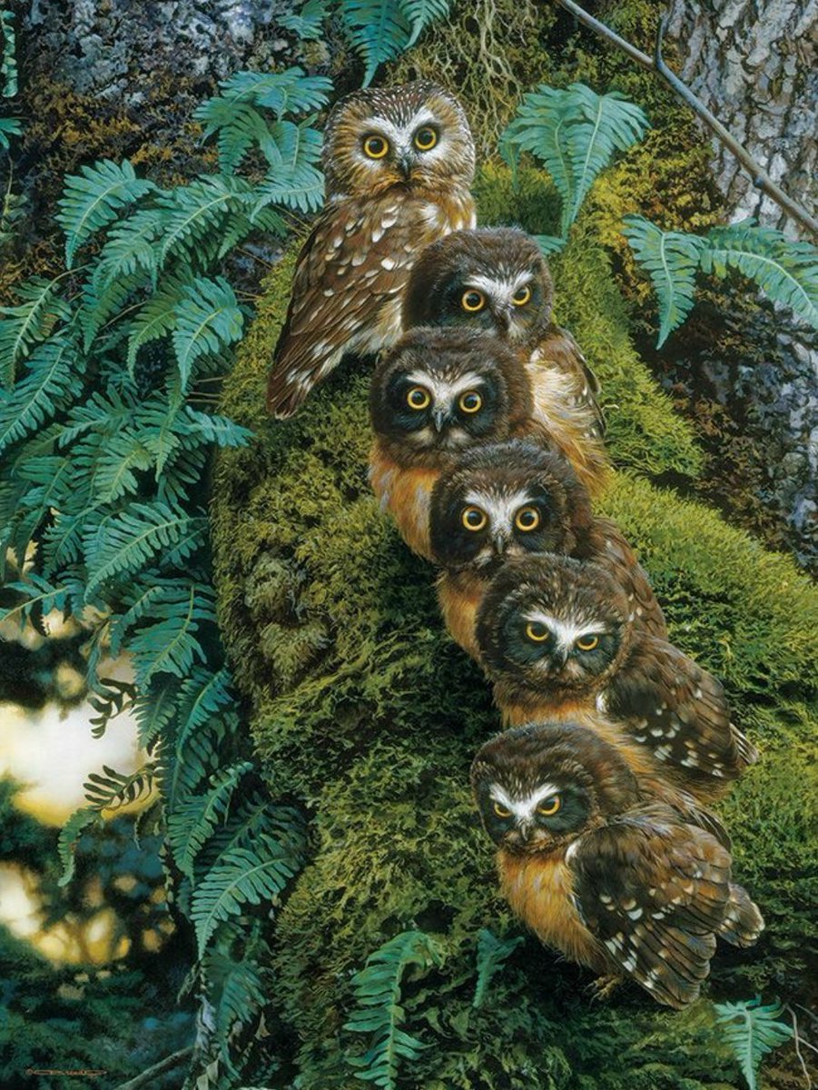 Nora 💄👠 tweet media