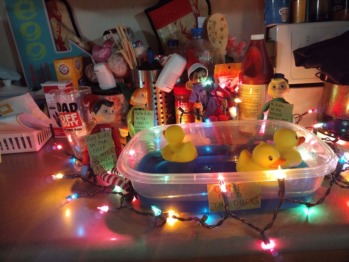 mandi10311's tweet photo. Damn elf up to no good again ... Making a duck pond and feeding them! For real dude they fake lmao https://t.co/JEBrNJfoiz