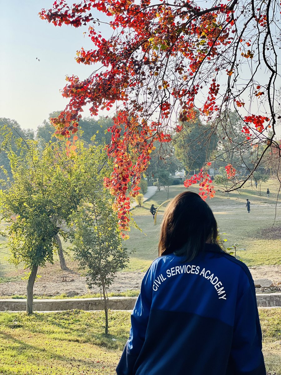 “You fought to be in the sun, so
never hide in the shade.”

Making most of the winter sunshine. 🌞