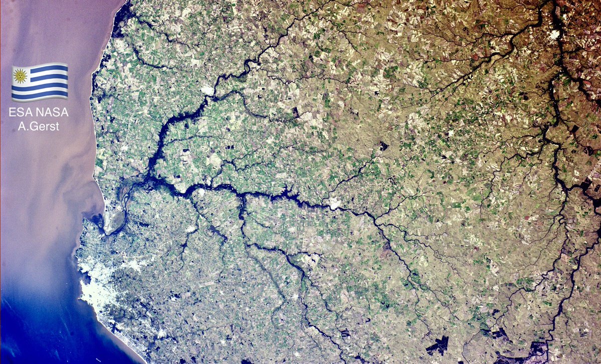 IgnazioMagnani's tweet photo. 🇺🇾¡Uruguay!
La Estación Espacial Internacional se podrá ver hoy a simple vista (sin nubes) en todas partes a las 21:30
 
 📲 pon alarma
 📲 toma foto
 
Hoy en el espacio https://t.co/fI01cZcyfB
Pildora informativa https://t.co/AvRlduSsQp
📸 ESA NASA https://t.co/NpV4V5wAb9 https://t.co/pYJgYhx51Q