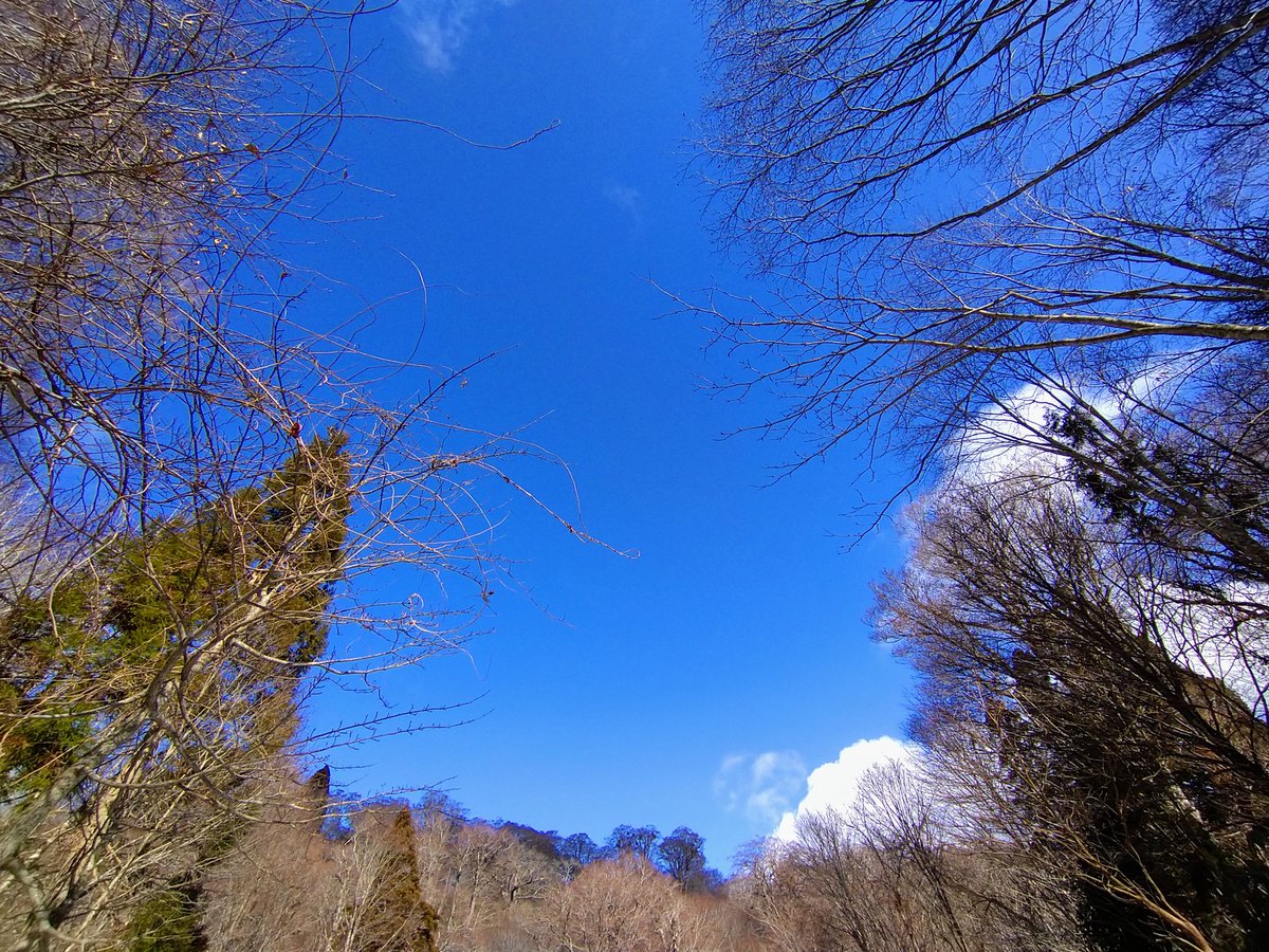 Shin7413's tweet photo. 空ばかりを眺めてた1日

#空が好き 
#写真 
#photography https://t.co/DDm0rDlXWQ