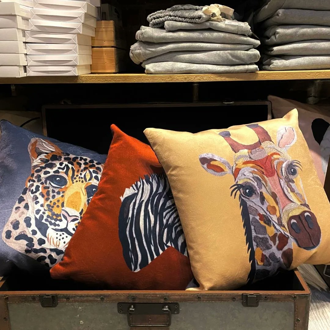 editlifeuk's tweet photo. We adore these funky animal cushions. If your looking to revamp your home look or just add a little touch of character we recommend these 😍 https://t.co/eEZX5nmm9e