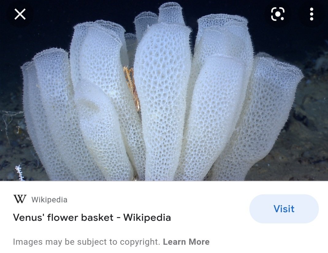 Glass fiber - Wikipedia