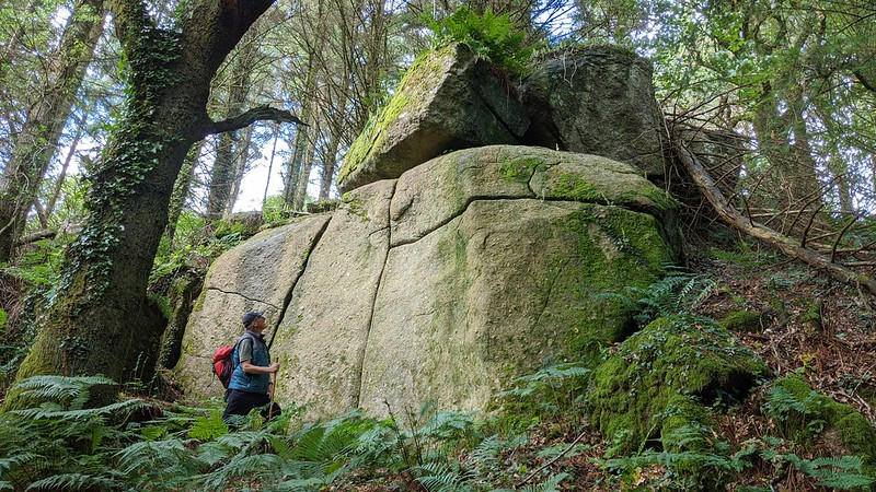 Tor_Bagger's tweet photo. Were you aware that East Dartmoor is littered with some magnificent outcrops, many of which simply fail to appear on maps? Well, if this is something that interests you, I cannot recommend the following link enough ๐
https://t.co/ujqSYK8SyF
#TorsofDartmoor #Tors #Dartmoor https://t.co/gLGWZSr5O8
