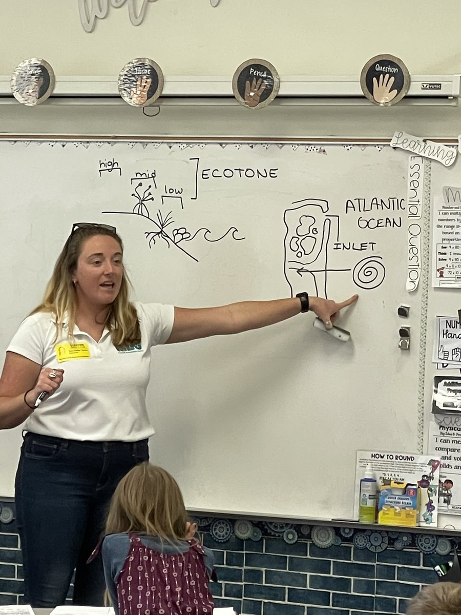 Proud to partner with the Marine Discovery Center and participate in the Schools to Shorelines project to teach the importance of native shoreline plants and to grow these plants and contribute to shoreline restoration efforts. <a href="/amhall814/">Andrea Hall</a> <a href="/amyrichardson99/">Amy Richardson</a> <a href="/ElemSci/">VCSElemSci</a> <a href="/MarineDiscov/">MarineDiscoveryCtr</a>