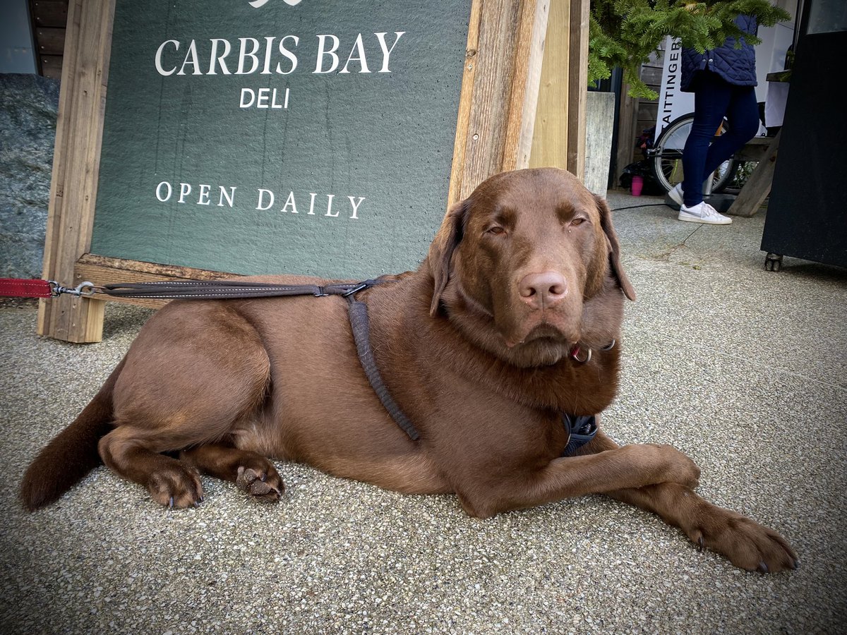 Great food, amazing scenery, and a very happy boy at #carbisbay #christmasmarket