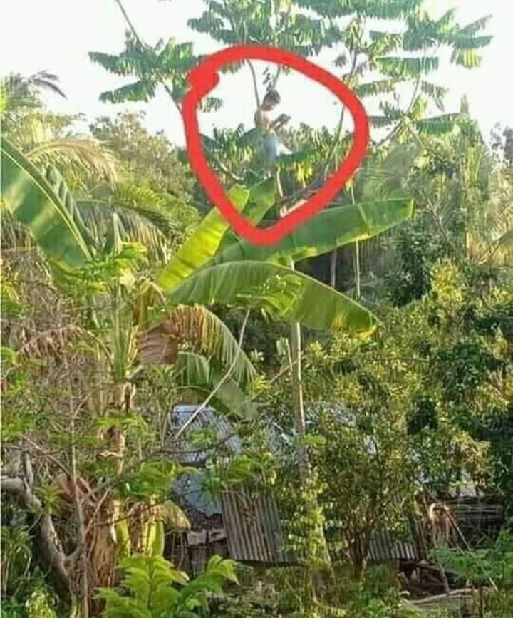 En <a href="/AmazonasLeticia/">Leticia Amazonas</a> los estudiantes universitarios nos toca hacer esto para estar conectados a las clases virtuales.
<a href="/Ministerio_TIC/">Ministerio TIC</a> <a href="/ConectividadCO/">Dirección de Infraestructura</a> <a href="/CarmenLigiaV/">Carmen Ligia Valderrama Rojas</a> <a href="/UNALOficial/">Universidad Nacional de Colombia</a> <a href="/MONYRODRIGUEZOF/">MÓNICA RODRÍGUEZ 🐤</a>