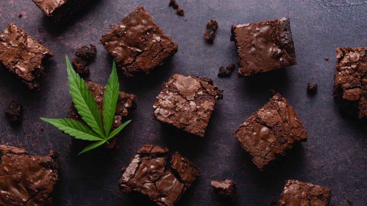 CBDLearningBase's tweet image. A Massachusetts cannabis company is set to claim the world record for the world&apos;s largest pot brownie containing 20,000 mg of THC. 
bit.ly/30grBWS

#CannabisCommunity #cannabisnews #cannabisindustry #CBD #cbdedibles