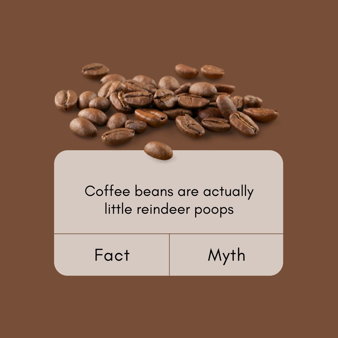 Sh_tOnAShingle's tweet photo. gm #NFT Twitter! The best part of waking up... is HODLers in your cup!!!
#carpediem #NFTs #Ethereum #SantaPoopsToo https://t.co/tyElaNr2Sa