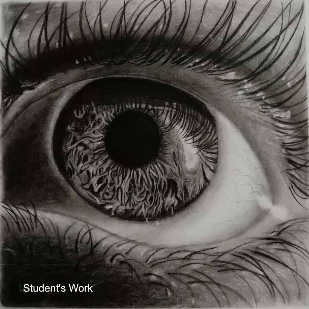 Student's work- By sandya.
@sandhya_reddy_dwarampudi 
Charcoal pencils on paper.✏️
Very happy to see the improvement she has achieved.
She is one of my students in regular batch online

 #hariartsacademy #hariarts #hariprasadsukumaran #hyperrealisticdraw… instagr.am/p/CXWFk1OBeg9/