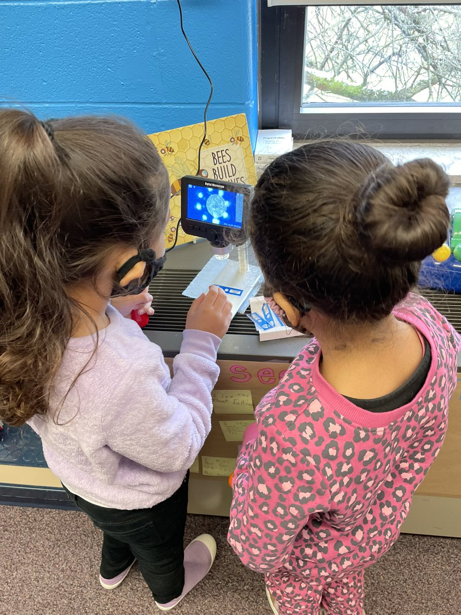 Tiffany Smiley tweet media