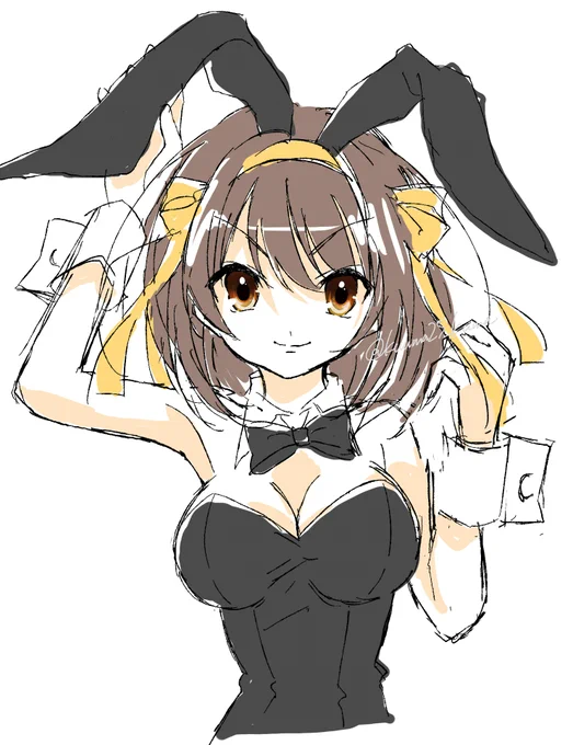 バニーハルヒ👯 