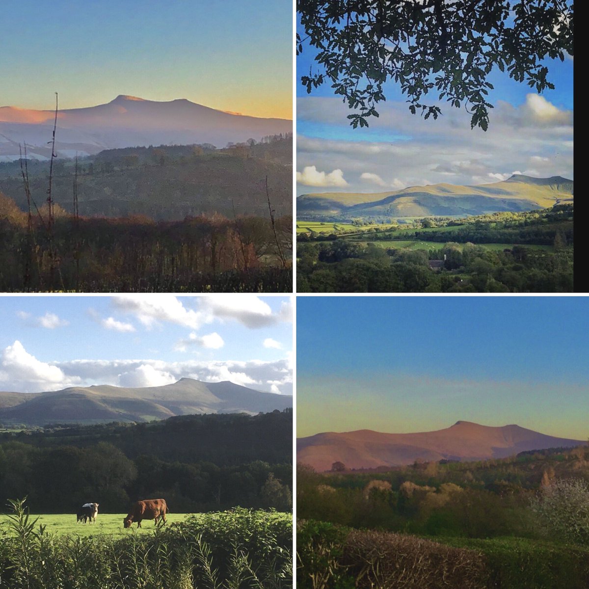 Celebrating our wonderful view of Pen-y-Fan as it’s #InternationalMountainDay! #bedwithaview #MountainsMatter #mountain @theacornhut #walesmustsee #scenicbritain #wowviews #discovercymru