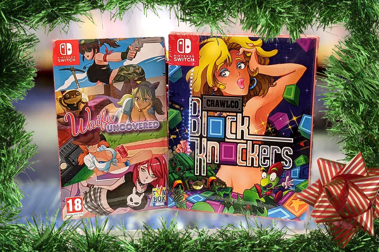 Videogamesnewyork Open 365.25 days a year 👍 on Twitter: "🎁 HOLIDAY GIFT GUIDE 🎁 Give the gift of ALMOST PORN The first physical Switch game with full 😊 .