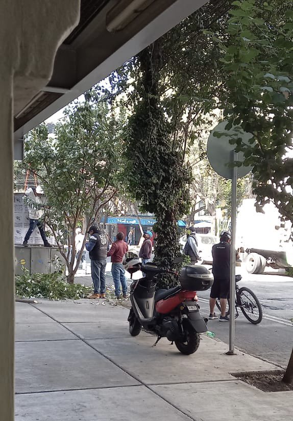 Alex Bravo tweet media