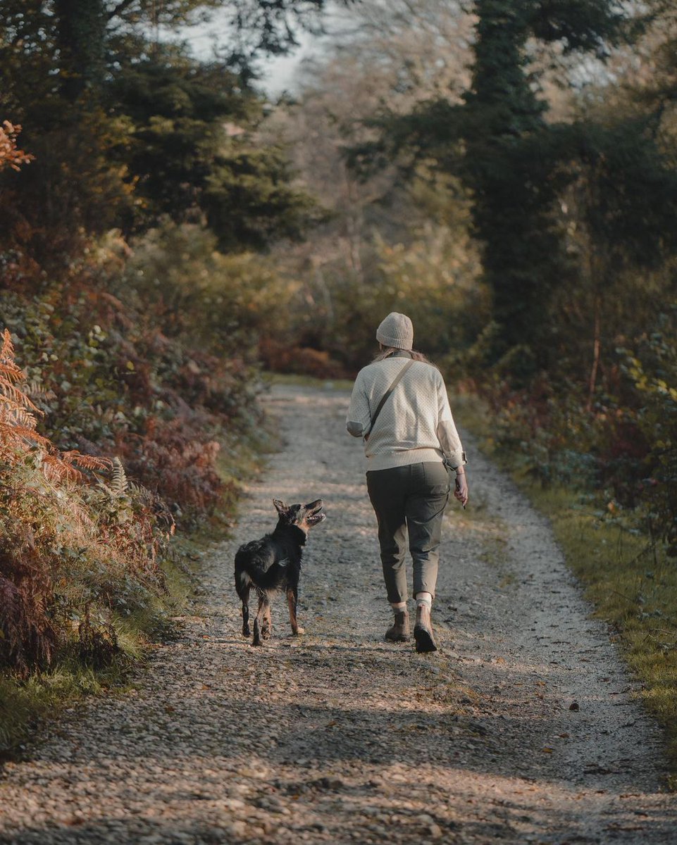 motorolaUK's tweet photo. Dogs may be man's best friend, but the #edge20lite isn't too far behind 😉

Shoutout to @_annablackwell and the ever adorable Bilbo for this snap!  

#Motorola #MobilePhotography #FindYourEdge #MotoMyWay https://t.co/LRYN8TUNEU