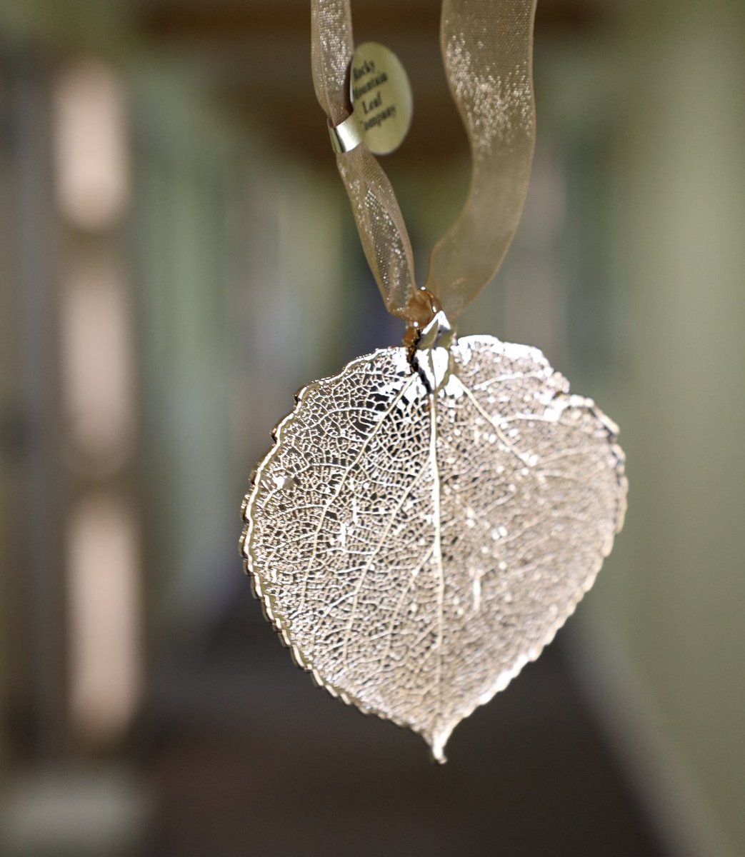 An Aspen Academy leaf is headed to space today! Longtime supporter of Aspen Academy, Dylan Taylor is headed to space aboard the #NS-19 Blue Origin’s New Shepard rocket and he is bringing a piece of Aspen with him.