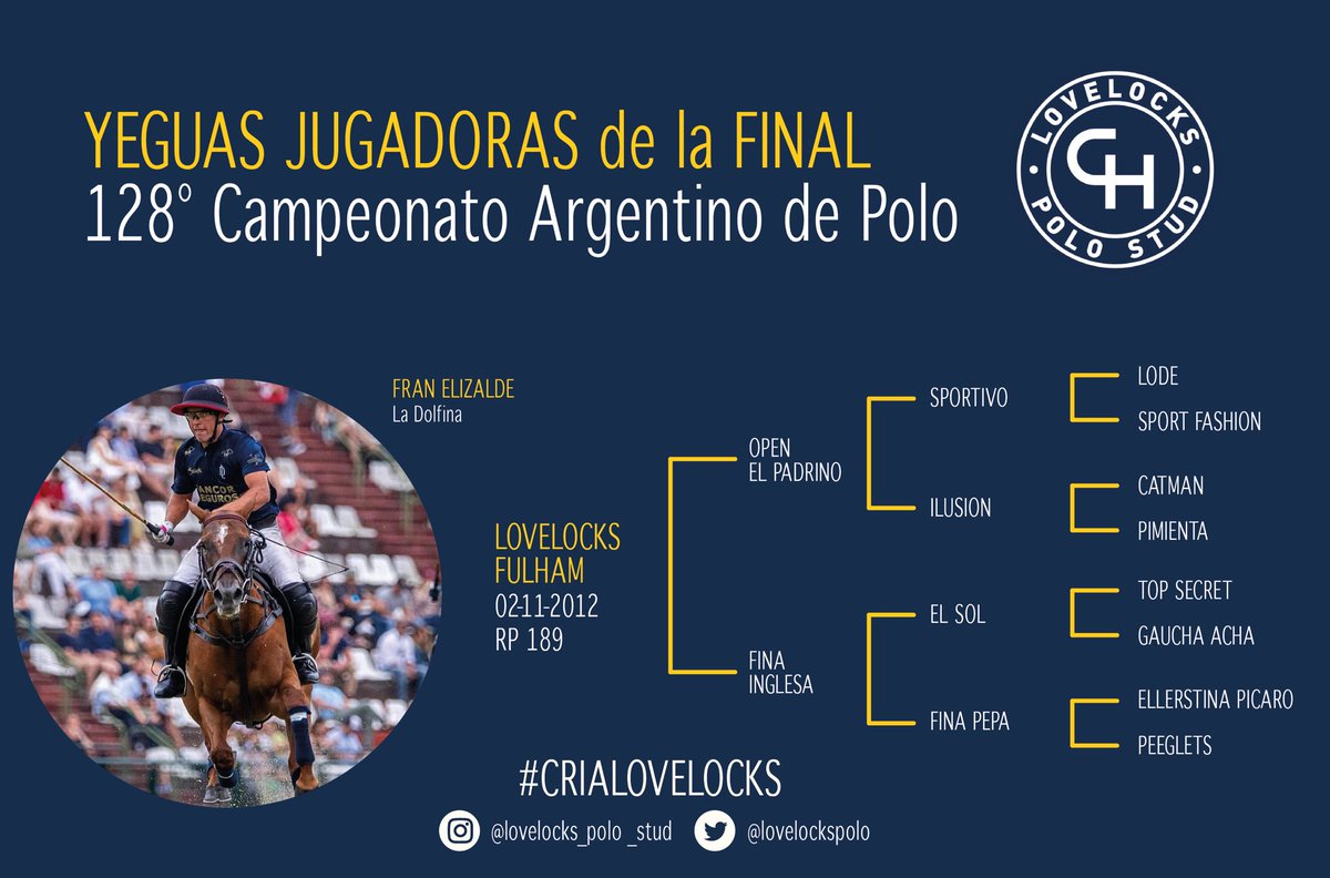 Lovelocks Polo Stud tweet media