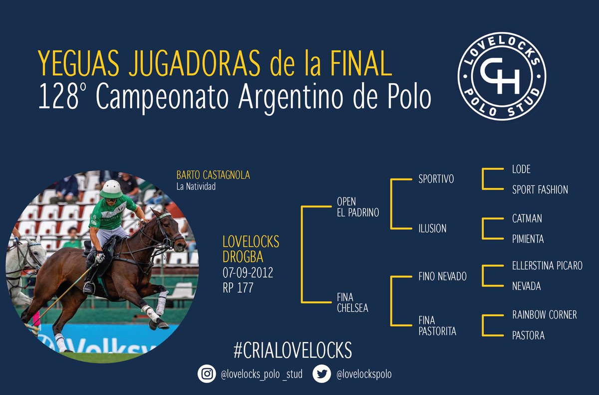 Lovelocks Polo Stud tweet media