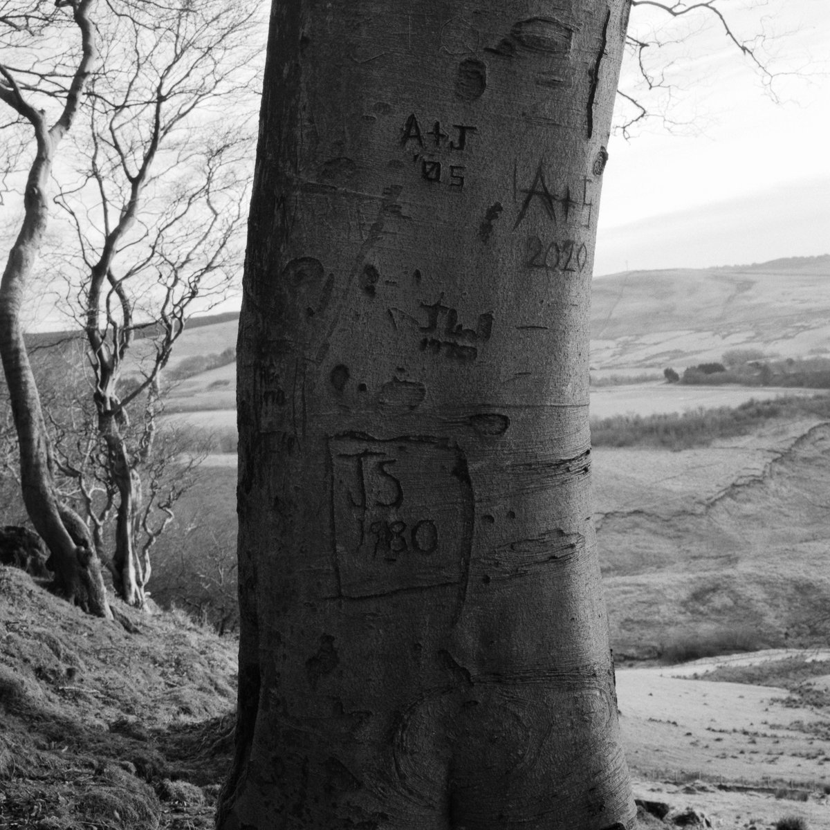 CollectiveFiltr's tweet image. Final chance to see some beautiful trees (other things too, but this tweet is tree-specific 🌳) by Zoe Hamill (@z_hamill) and Kieran Smyth in cafes across Edinburgh for our first #FiltrCollective exhibition. #Photography

Prints available to buy here: filtrcollective.com/shop