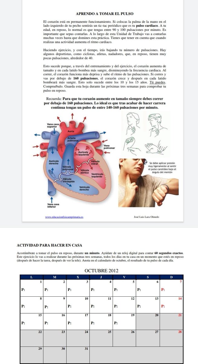 EFisicaIntegral's tweet photo. RECURSO📂: En Me pongo en forma, el autor presenta una progresión didáctica para el trabajo de las CFB mediante el juego, así como diferentes materiales auxiliares y de evaluación 🏃🏽‍♂️🏃🏽‍♀️👟
https://t.co/Akqkx0bHOC https://t.co/EAet2c7uz6