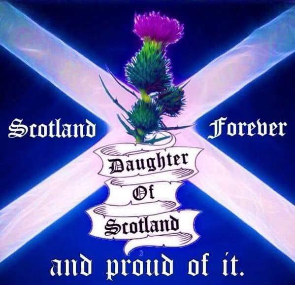 dandypuff's tweet photo. Iโd be lying if I didnโt confess that Im not a pure breed ๐คฃ Iโm 3/4 Irish 1/4 Scottishโฆ but have the temper and gub to match ๐ฎ๐ช ๐ด๓ ง๓ ข๓ ณ๓ ฃ๓ ด๓ ฟ both countries know whatโs itโs like to be an occupied county. #YesScots #BorisTheLiar #NationInWaiting #borisdick https://t.co/tMQKoP6bYE