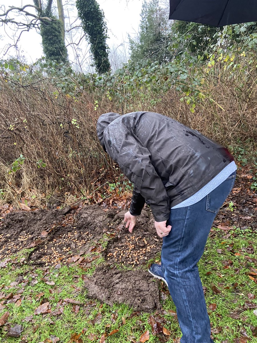 KarenTaggart20's tweet photo. A wet morning but an important one planting Snowdrops for everyone to enjoy in the Spring to remember all our little ones who have gone too soon. Many thanks to our Lord Mayor @KateNicholl for being able to support us #snowdropgroup #tttsawareness #babyloss https://t.co/LBP71krllU