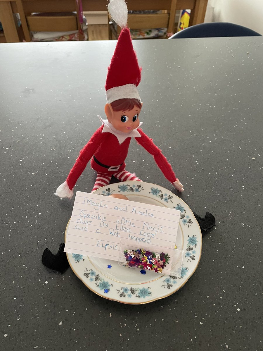 TKASMrShepherd's tweet photo. #Elfvis left this overnight? 

Hmmmm…… https://t.co/n9b1x38j5x