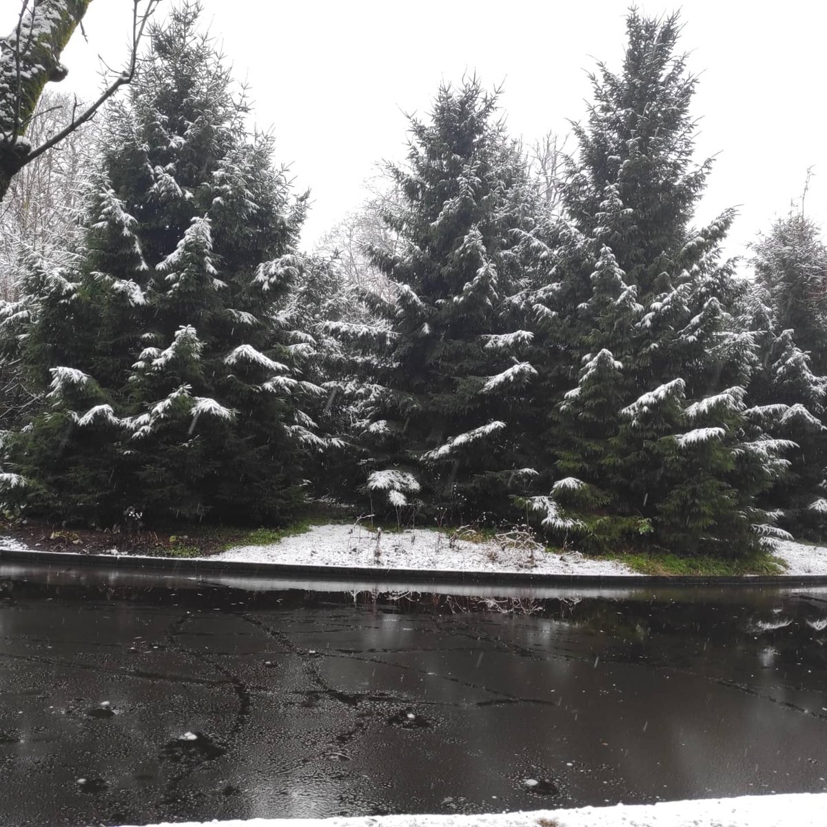 Last weekend in Copenhagen