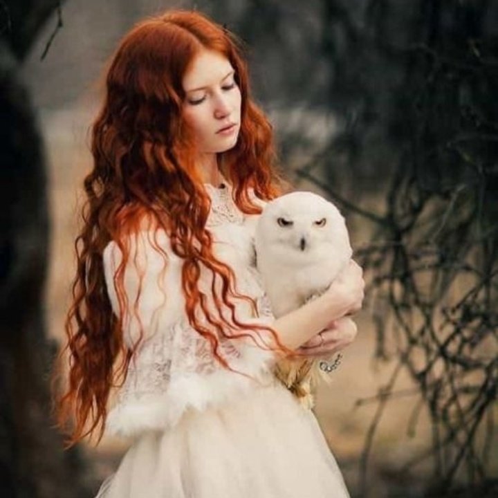 #NouvellePhotoDeProfil