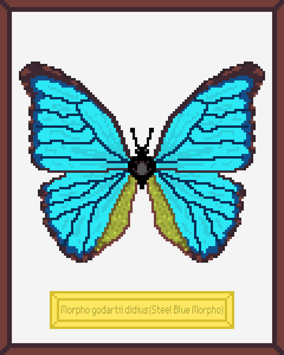 ButterfliesNFTs's tweet photo. The second drop will include 15 butterflies and will take place tomotow 7 pm UTC. Each #NFT in this collection is a real butterfly species. 

https://t.co/NhtOihWmar

Discord for more information https://t.co/kzBMldWS5Z

#NFTs #NFTCommunity #nftcollector https://t.co/EqmUXfMVej