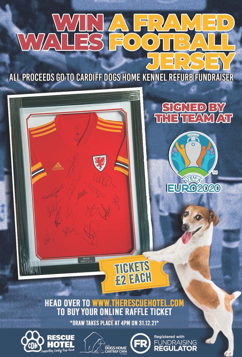 Cardiff Dogs Home, The Rescue Hotel tweet media