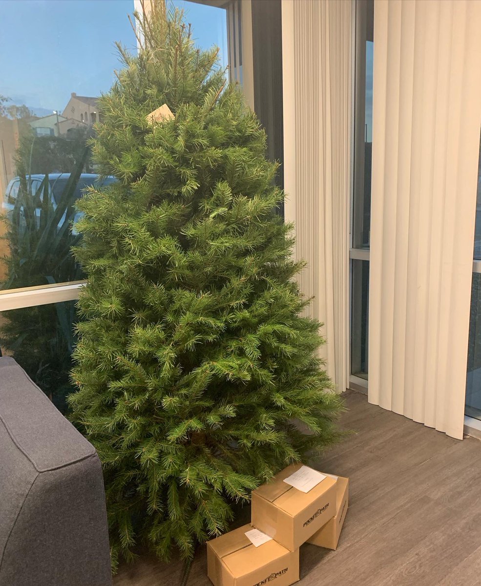 Thank you to Coach Ron, the Whippo family, Luke and Yankees pitcher Michael Gomez for delivering a Christmas Tree and gift card to a family in need 🙌 Every year we partner with <a href="/CasaColinaHosp/">Casa Colina Hospital</a> children’s hospital to help with their Holiday party 🎁🎄 #PFAstrong