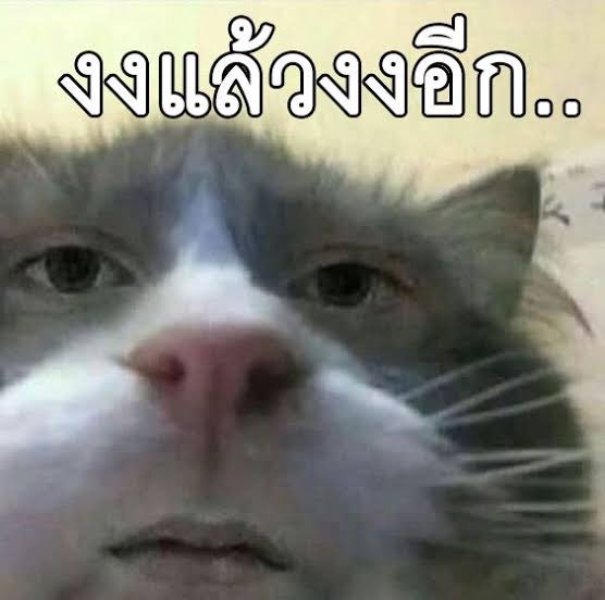 onyoury_okk's tweet photo. ตกลงเราลูกค้าใคร? #millimyบั้มอยู่ไหนเบ๋อ https://t.co/UdmowTQMCH