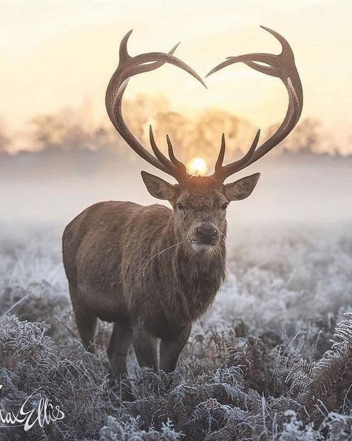 El viejo ED 🍋 tweet media