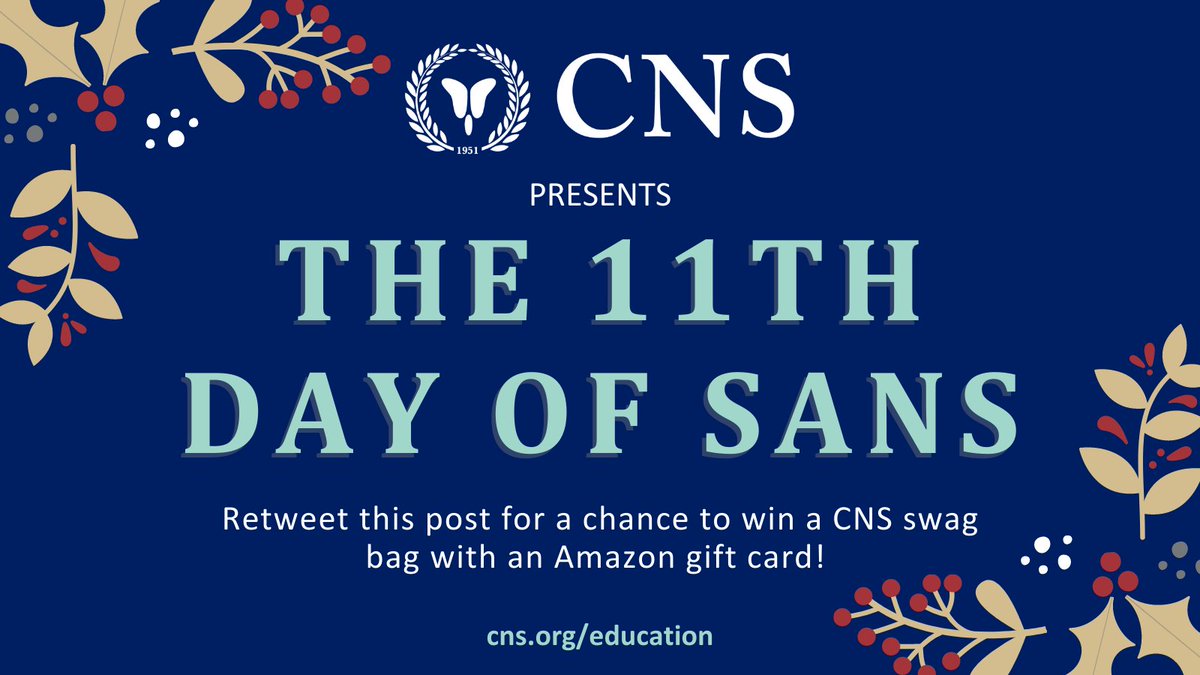 CNS_Update's tweet photo. Day 11 of the #12DaysofSANS https://t.co/fV0MlxwWtv