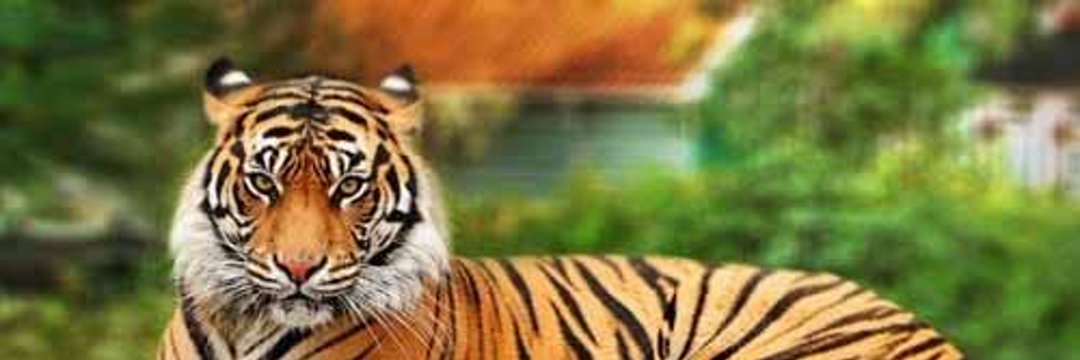 شي فخاطرك ودك تقوله لي؟