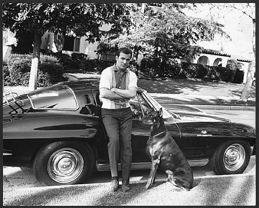 WilliamShatner's tweet photo. For decades https://t.co/9VUYwyISUy